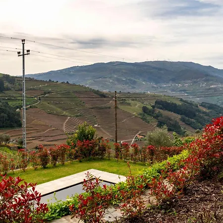 Flh Douro Casa Do Martir