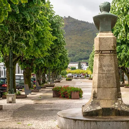 招待所 Flh Douro Casa Do Martir