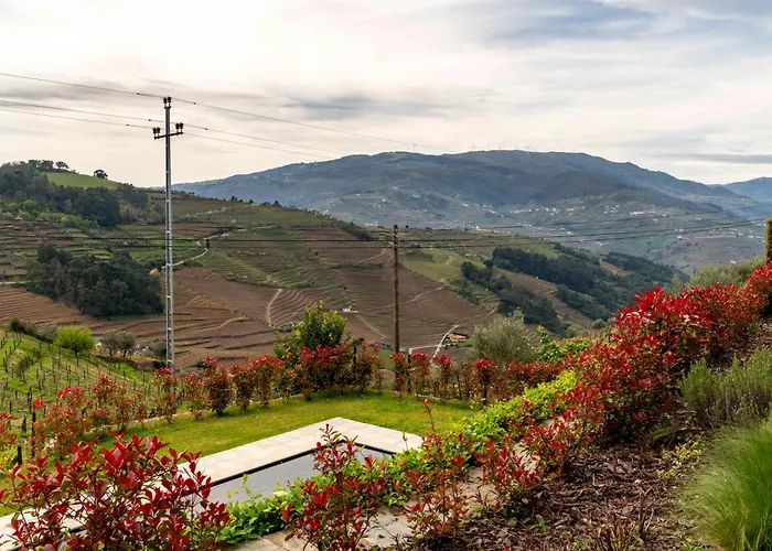 Flh Douro Casa Do Martir